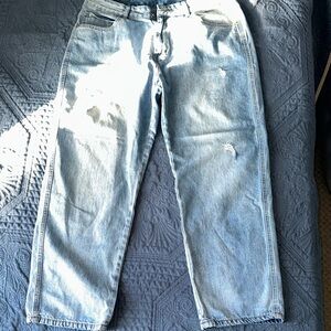 Casual Light Blue Relaxed Fit Jeans